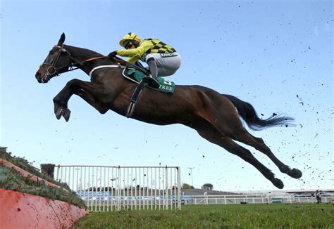 racecard for aintree tomorrow|Tomorrow's Racecards .